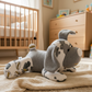 Dog in Bedroom 2