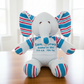 Elephant Boy 2